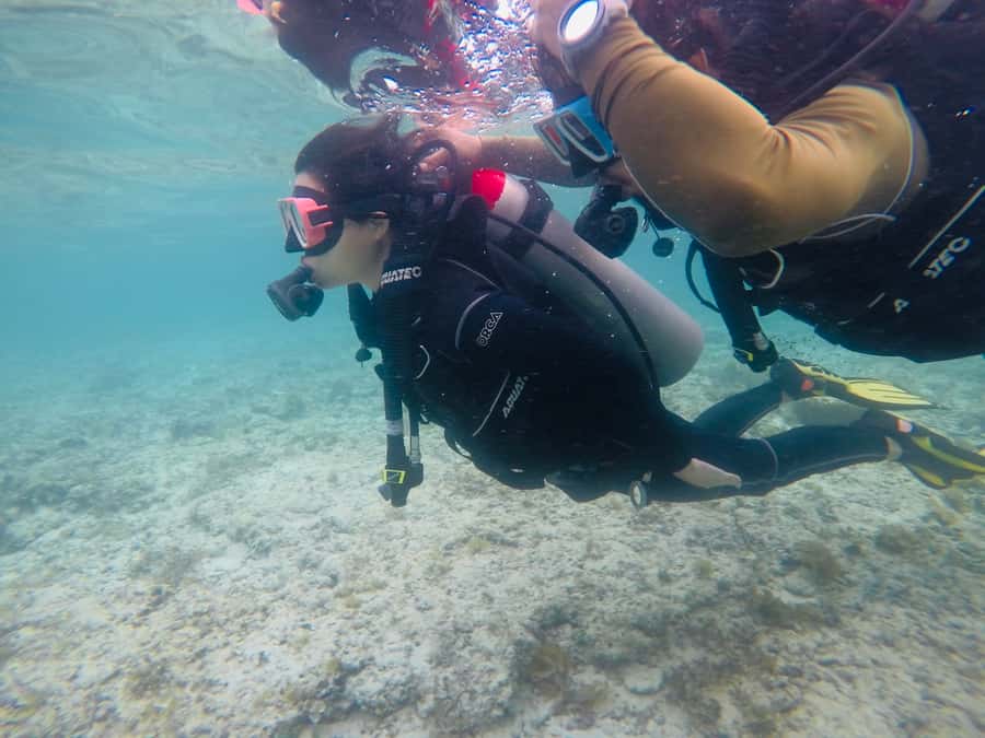 From Cebu City: Scuba Diving with Whale Sharks Trip in Oslob - What the private format is really worth