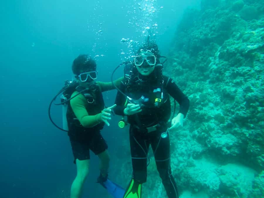 From Cebu City: Scuba Diving with Whale Sharks Trip in Oslob - Timing, weather, and flight planning