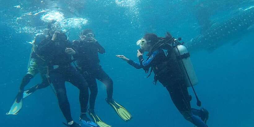 From Cebu City: Scuba Diving with Whale Sharks Trip in Oslob - Practical ways to make the day smoother
