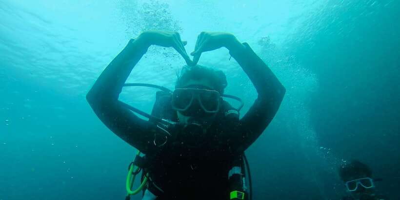 From Cebu City: Scuba Diving with Whale Sharks Trip in Oslob - Should you book this whale shark experience?