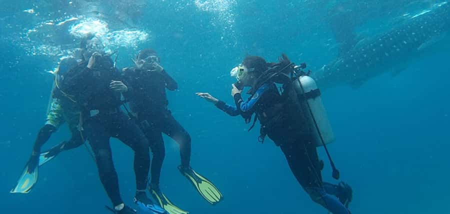 From Cebu City: Scuba Diving with Whale Sharks Trip in Oslob - Getting ready with the English-speaking instructor