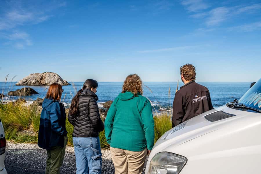 From Christchurch: Kaikōura Day Tour with Whale Watching - Sea Conditions, Warm Layers, and Motion Sickness