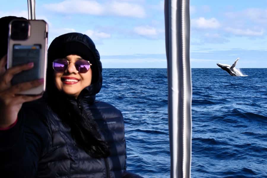 From Fremantle: 2-Hour Luxury Whale-Watching Cruise - Why the Southern Migration Matters