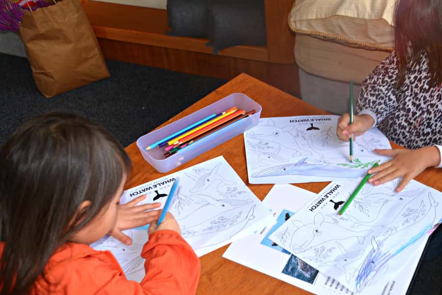 From Fremantle: 2-Hour Luxury Whale-Watching Cruise - A Strong Choice for Families