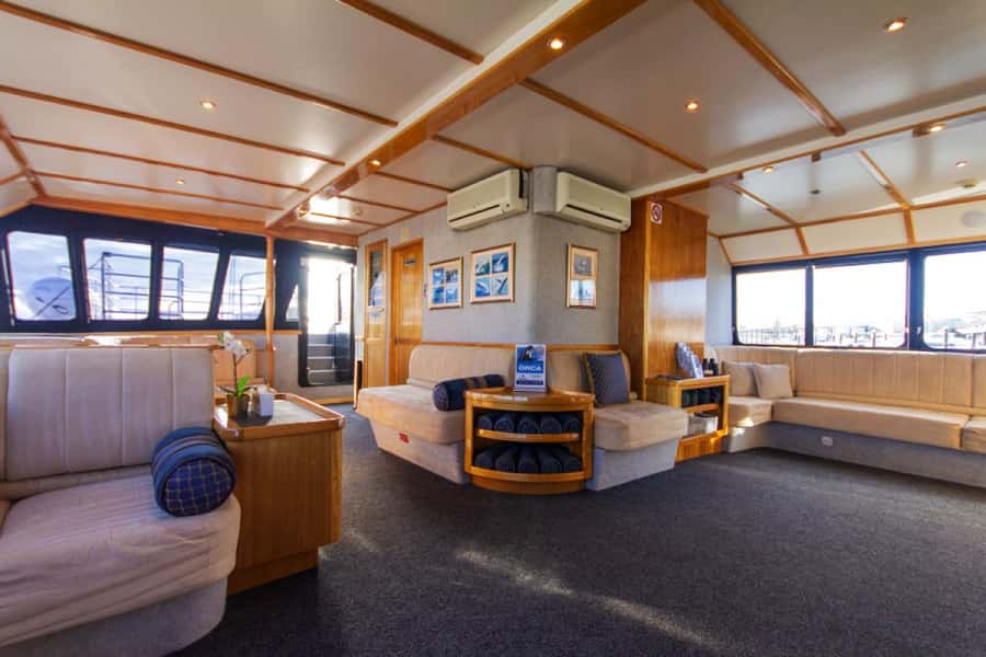 From Fremantle: 2-Hour Luxury Whale-Watching Cruise - My Verdict on the Fremantle Whale Cruise