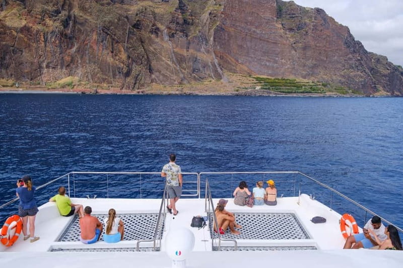 From Funchal: Ecological Catamaran Dolphin Whale Watching - The return along Madeira’s southern coast
