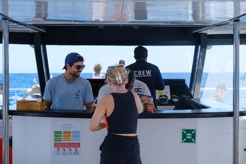 From Funchal: Ecological Catamaran Dolphin Whale Watching - How much value you get for $41