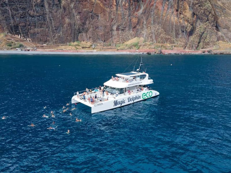 From Funchal: Ecological Catamaran Dolphin Whale Watching - Practical details before you book