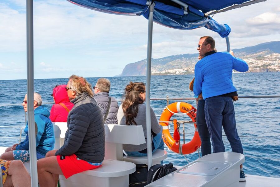 From Funchal: Madeira Dolphin and Whale Watching Tour - Who will enjoy this cruise most?