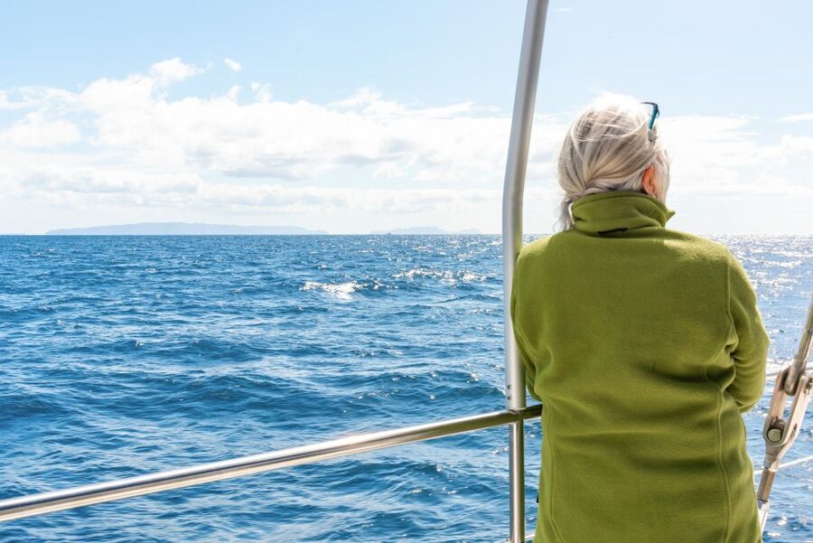 From Funchal: Madeira Dolphin and Whale Watching Tour - Leaving Funchal Marina for the open Atlantic