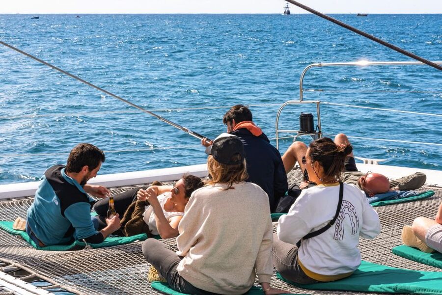 From Funchal: Madeira Dolphin and Whale Watching Tour - Is $47 a fair price?