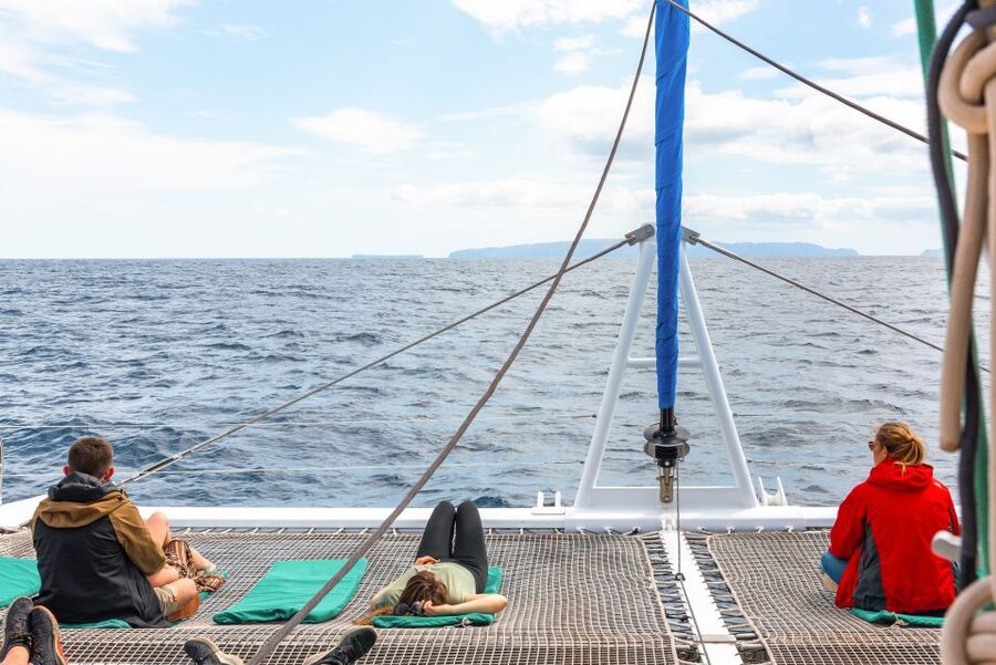 From Funchal: Madeira Dolphin and Whale Watching Tour - What to pack for three hours at sea