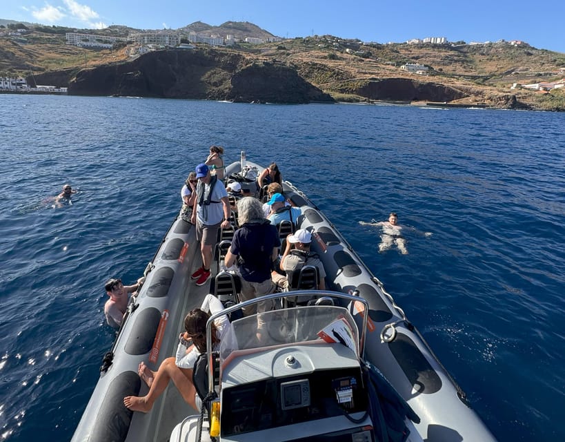 From Funchal: Whale and Dolphin Watching - The final call: should you book it?