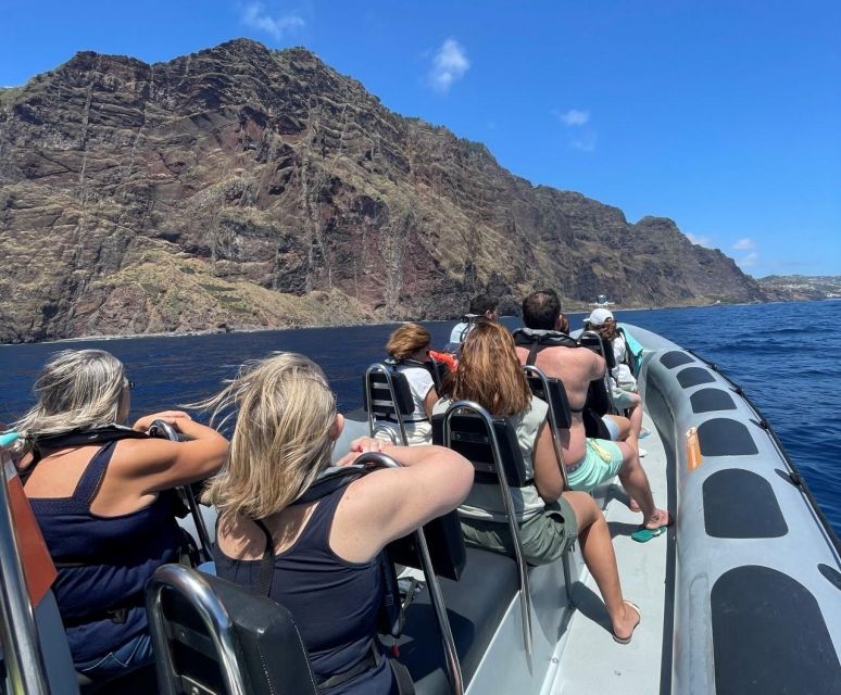 From Funchal: Whale and Dolphin Watching - The animals you may see off Madeira