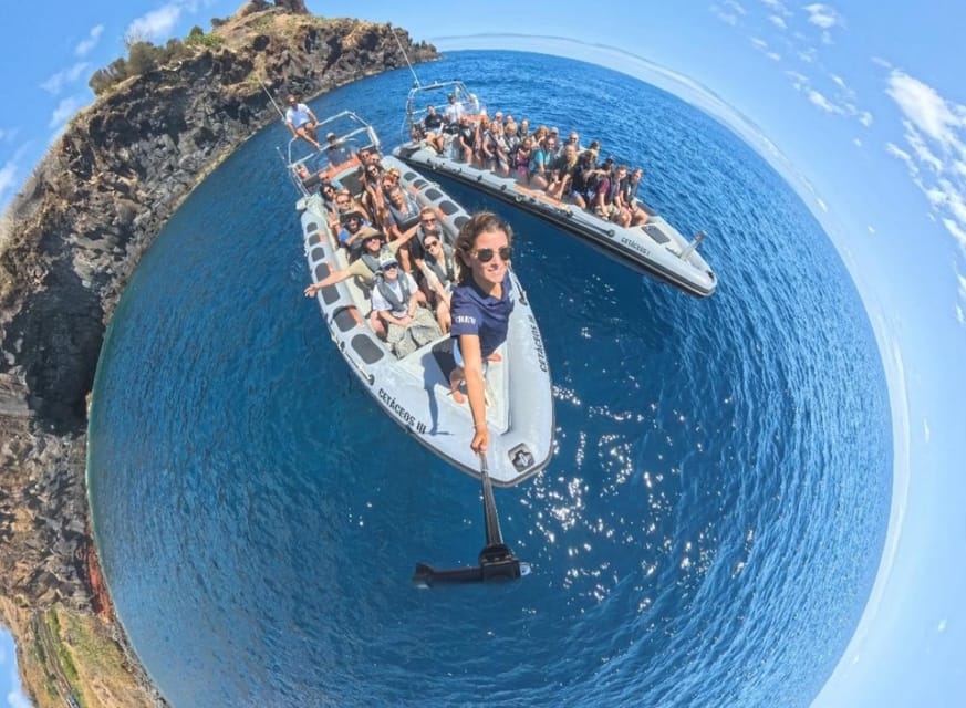 From Funchal: Whale and Dolphin Watching - Why the marine biologist guide matters