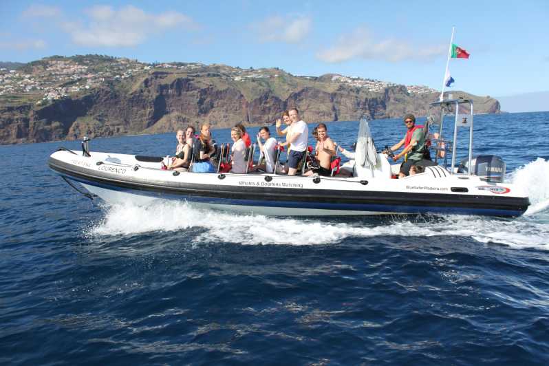 From Funchal: Whales and Dolphin Adventure Tour - Quick reasons to consider this Madeira boat tour