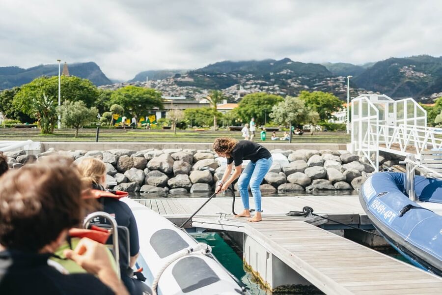 From Funchal: Whales and Dolphin Adventure Tour - The guides add meaning to each sighting