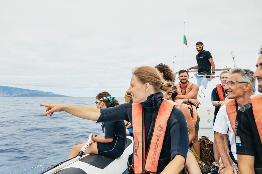 From Funchal: Whales and Dolphin Adventure Tour - Funchal views and the open-water setting