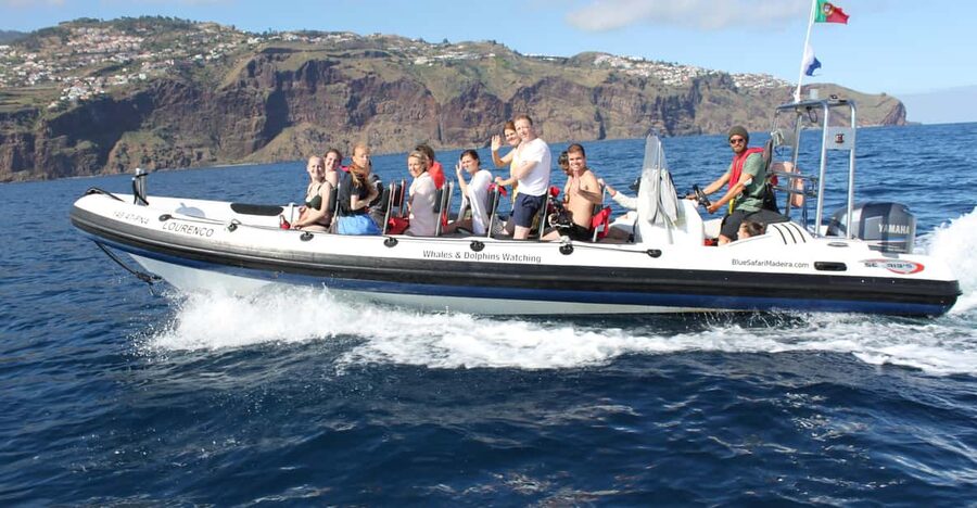 From Funchal: Whales and Dolphin Adventure Tour - Why the small speedboat matters