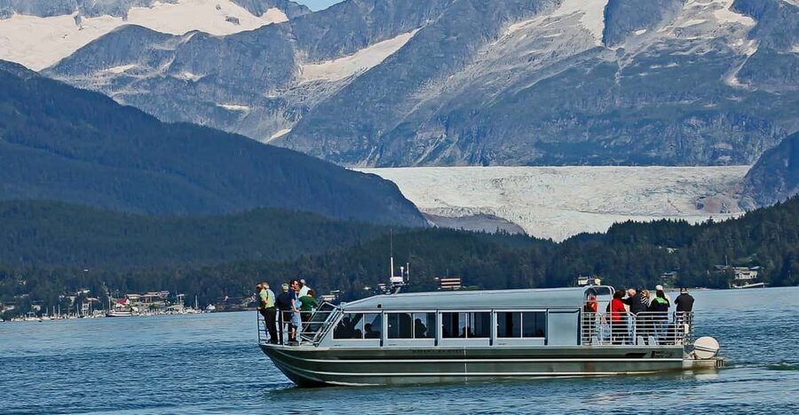 From Juneau: Whale Watching Cruise with Snacks - Why this Juneau whale watch works so well