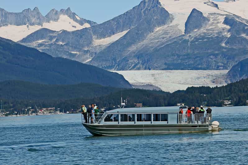 From Juneau: Whale Watching Cruise with Snacks - Who should book this boat trip