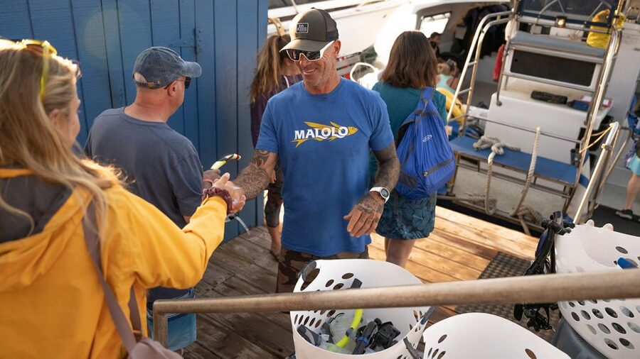 From Ma'alaea: Afternoon Whale Watch Tour Aboard the Malolo - Checking in at Boss Frog’s