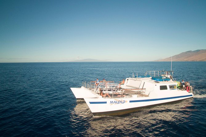 From Ma'alaea Harbor: Whale Watch Cruise Aboard the Malolo - Drinks, Food, and Extra Costs