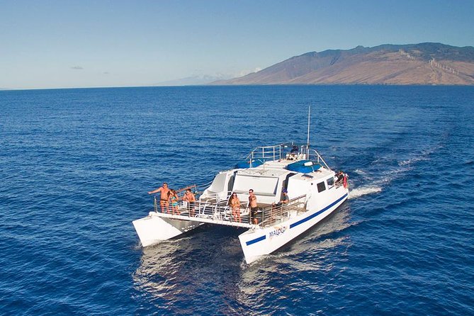 From Ma'alaea Harbor: Whale Watch Cruise Aboard the Malolo - Listening to Whales Through Hydrophones