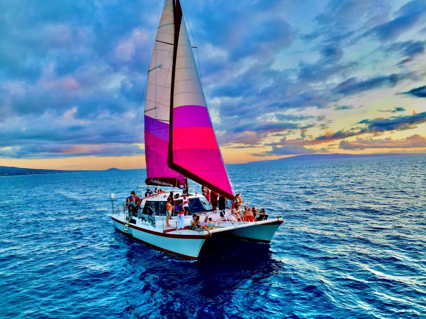 From Maalaea: Whale Watching Catamaran Cruise with Drinks - Why Maui’s humpback season matters