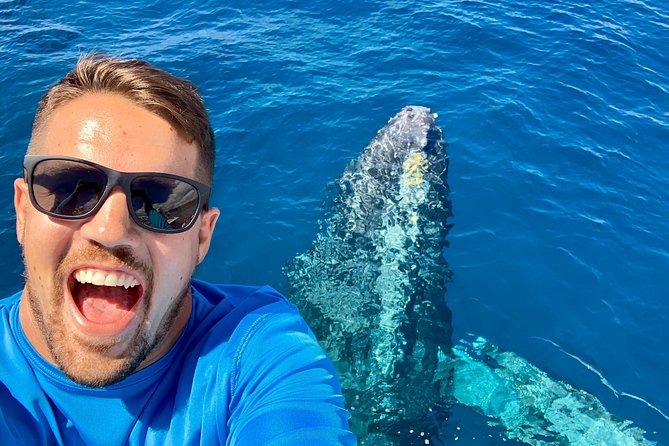 From Maalaea: Whale Watching Tour Aboard the Quicksilver - Finding the whales in Maui’s winter waters