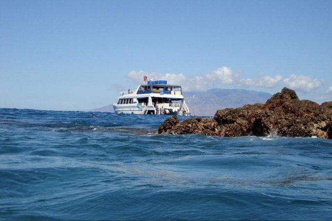 From Maalaea: Whale Watching Tour Aboard the Quicksilver - What the $49.95 price really buys