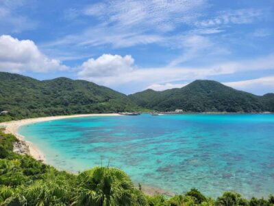 Naha : Kerama, Tokashiki Island and Whale Watching Tour