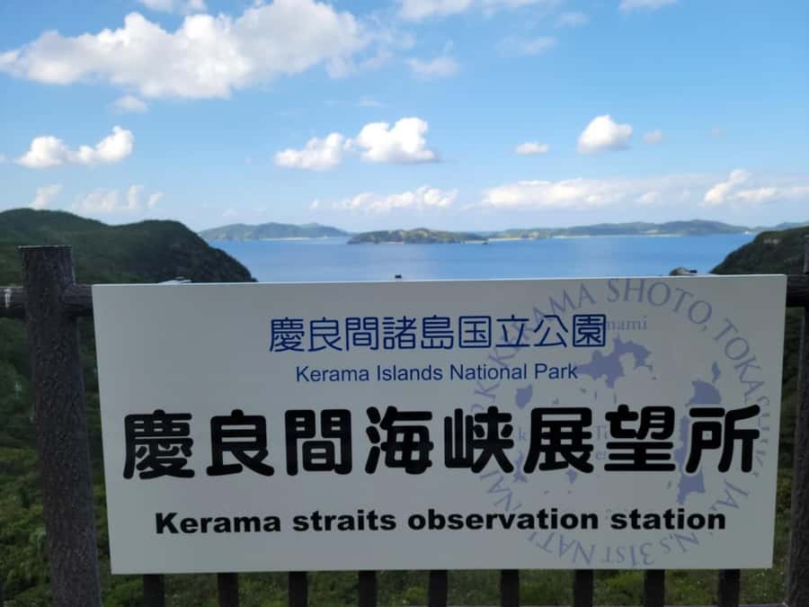 From Naha : Kerama, Tokashiki Island and Whale Watching Tour - The two-hour whale-watching cruise