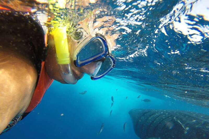 From Playa del Carmen: Whale Shark Tour - The speedboat crossing to the whale sharks