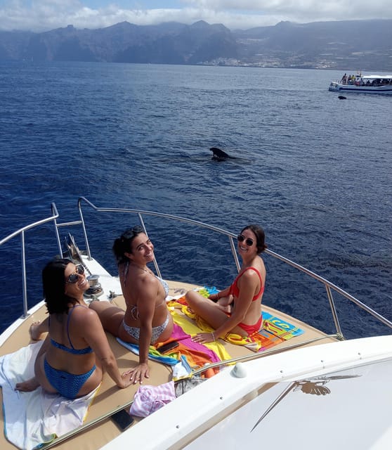 From Playa San Juan: Whale Watching, Gigantes, and Masca Bay - Returning Along Tenerife’s Volcanic Coast