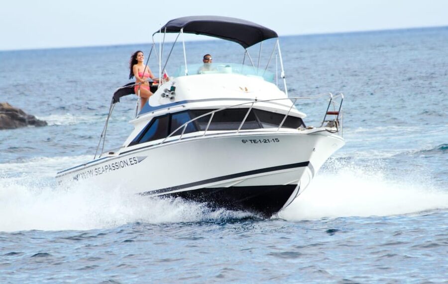 From Playa San Juan: Whale Watching, Gigantes, and Masca Bay - What the $94 Price Gets You