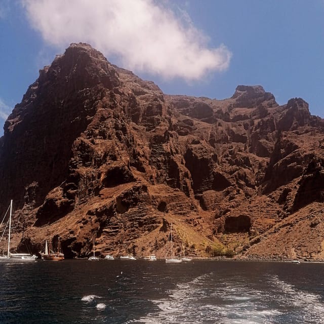 From Playa San Juan: Whale Watching, Gigantes, and Masca Bay - Should You Book This Tenerife Boat Tour?