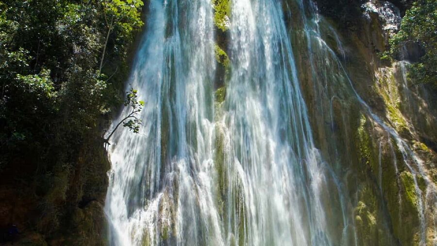 From Punta Cana: Sanctuary Whale Watching Day Trip - Horseback riding to El Limon waterfall