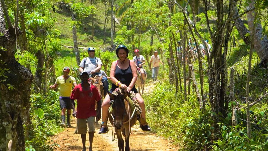From Punta Cana: Sanctuary Whale Watching Day Trip - The long ride home to Punta Cana