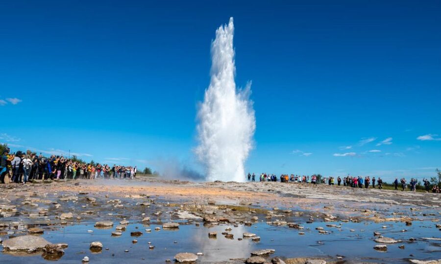 From Reykjavik: Full Day Whale Watching & Golden Circle Tour - One day, two sides of Iceland