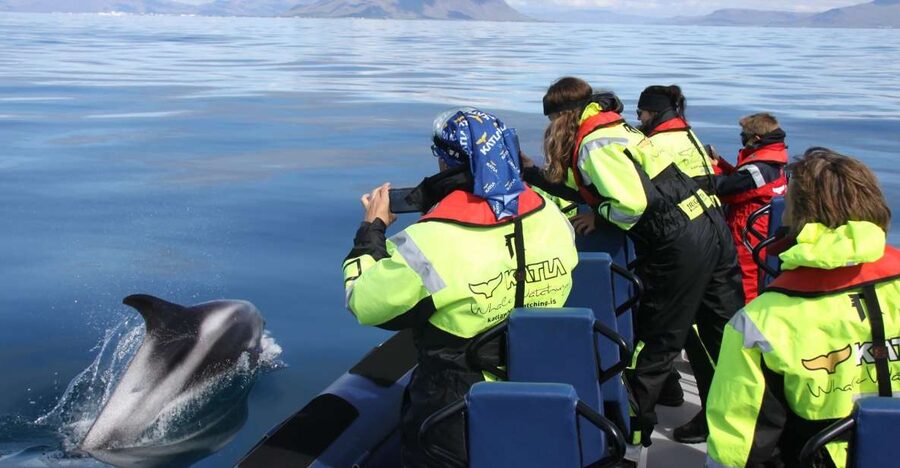 From Reykjavik: Whale Watching Tour by Speedboat - A fast start from Reykjavik’s old harbor