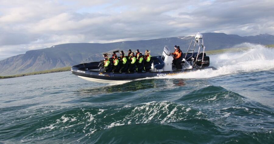 From Reykjavik: Whale Watching Tour by Speedboat - Puffin islands and a close look at seabirds
