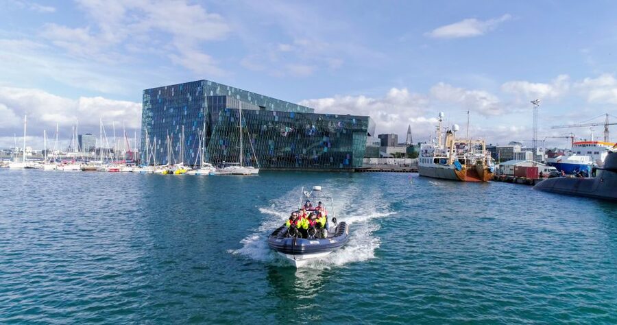 From Reykjavik: Whale Watching Tour by Speedboat - Who should book this speedboat trip?