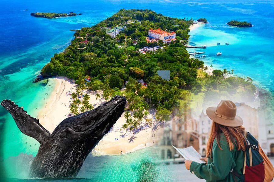 From Samaná: Whale Watching and Cayo Levantado Island Tour - Who will enjoy this Samaná outing most