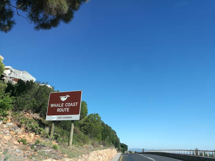 From Stellenbosch: Hermanus Whale Route Tour - From Stellenbosch to the Cape coast