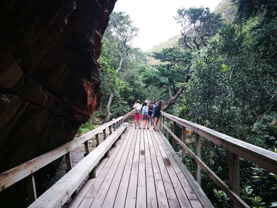 From Stellenbosch: Hermanus Whale Route Tour - Is $520 good value for two?