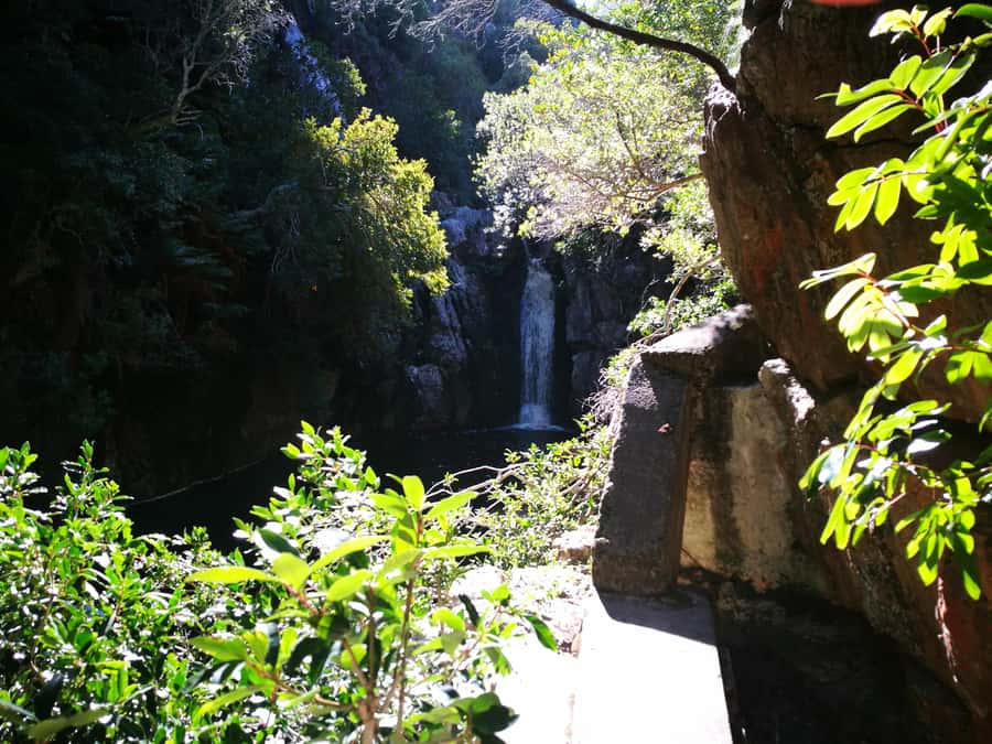 From Stellenbosch: Hermanus Whale Route Tour - Timing, comfort, and practical limits