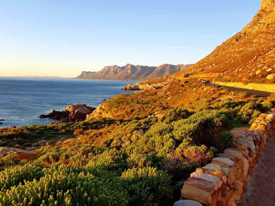 From Stellenbosch: Hermanus Whale Route Tour - Who should book this day trip?