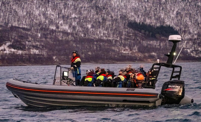 From Tromso: Whale Watching in Magic Skjervoy - Finding orcas and humpbacks near the herring