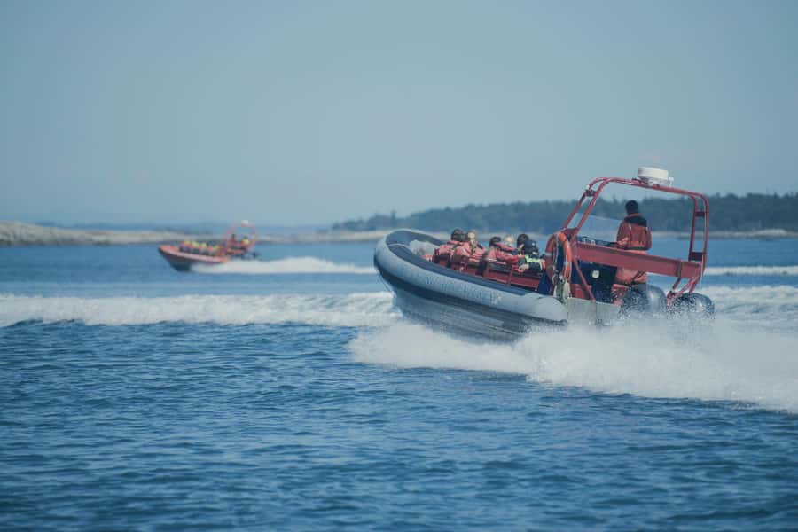 From Victoria: Whale Watching Marine Wildlife Excursion - Guides, interpretation, and the human side
